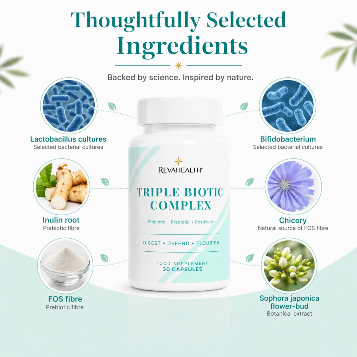 RevaHealth Triple Biotic Complex