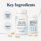 RevaHealth NMN 500 + Apigenin Advanced product detail graphic 2